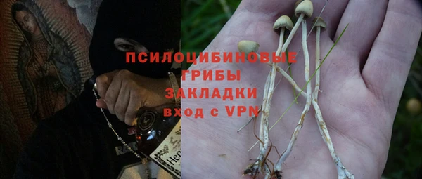 прущая мука Арсеньев