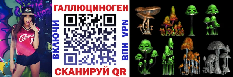 как найти закладки  ссылка на мегу онион  Псилоцибиновые грибы мицелий  Цивильск 